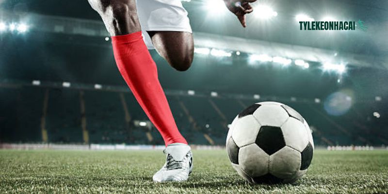 Chi tiết cách truy cập cổng thông tin bóng đá hot hàng đầu Việt Nam Chi tiết cách truy cập cổng thông tin bóng đá hot hàng đầu Việt Nam