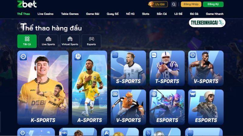 Sản phẩm thể thao chất lượng