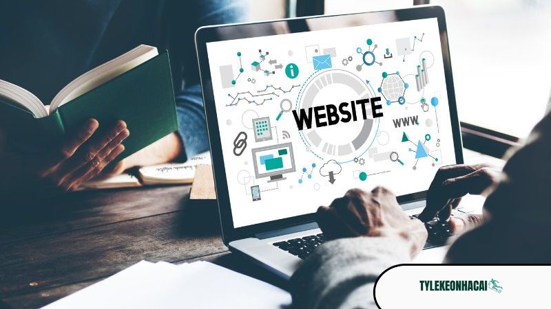 Vai trò của Luca Trần Vai trò của Luca Trần