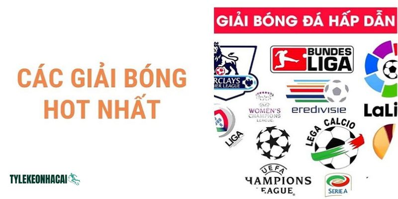 Tại cleverkids.com.mx luôn cập nhật đầy đủ lịch mọi giải đấu bóng Tại cleverkids.com.mx luôn cập nhật đầy đủ lịch mọi giải đấu bóng