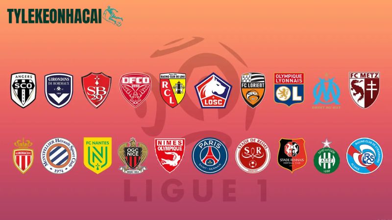 Tìm hiểu tổng quan về giải VĐQG Pháp Tìm hiểu tổng quan về giải VĐQG Pháp