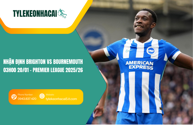Đội hình dự kiến trước trận Brighton vs Bournemouth Đội hình dự kiến trước trận Brighton vs Bournemouth