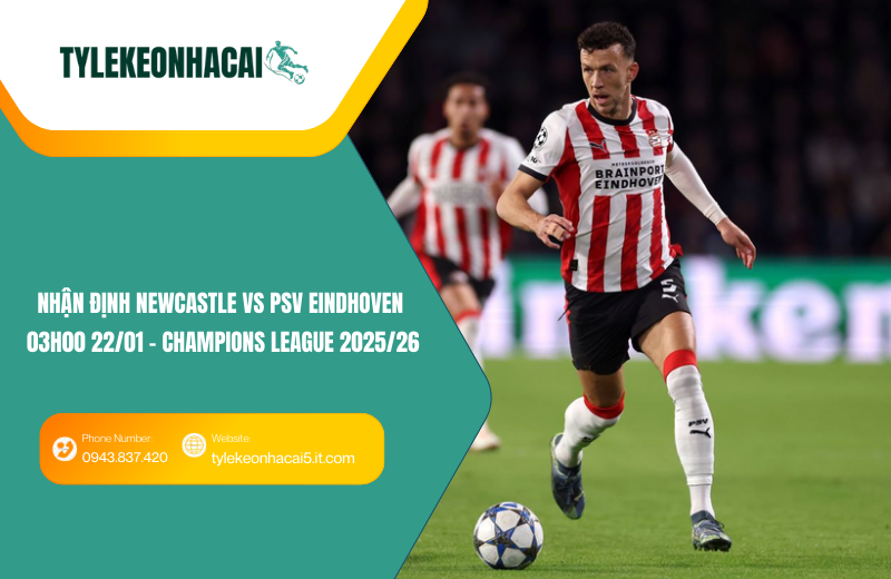 Đội hình dự kiến trước trận Newcastle vs PSV Eindhoven Đội hình dự kiến trước trận Newcastle vs PSV Eindhoven