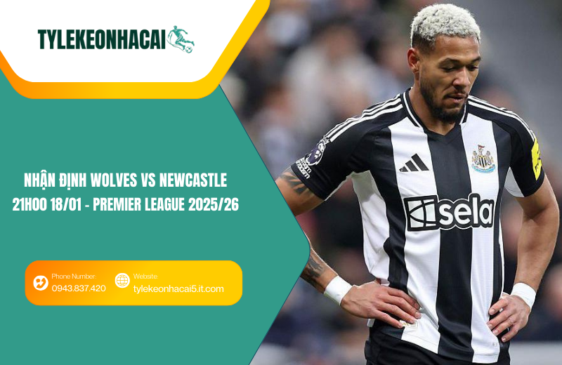 Đội hình dự kiến trước trận Wolves vs Newcastle Đội hình dự kiến trước trận Wolves vs Newcastle